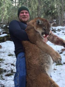 Monster Cougar in Idaho