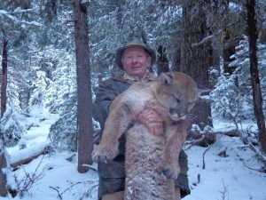 Hunting Mountain Lions with Hounds