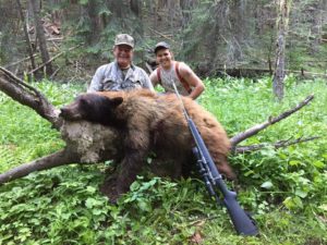 Baited Bear Hunts
