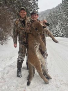 Biggest Mountain Lion on Record