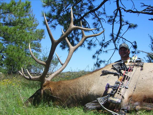 Hunt Idaho Bull Elk with Miles High Outfitters