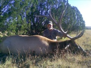 Hunt Idaho Bull Elk with Miles High Outfitters