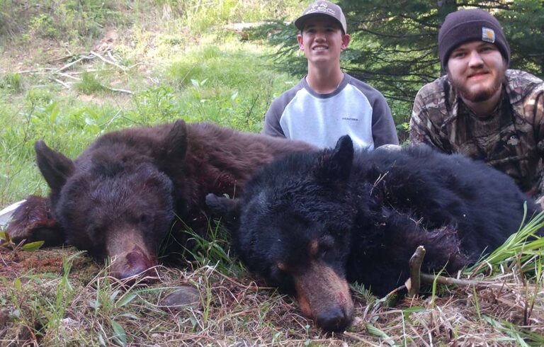 Hunting Idaho Black Bear