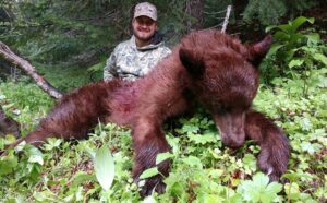 Giant Black Bears hunted with hounds