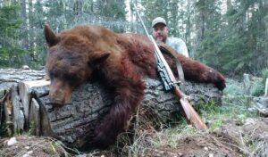 Hound hunting for Idaho Black Bears