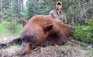 Idaho Hound Hunting for Bear.