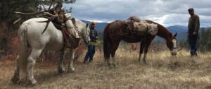 Idaho Elk Hunting Outfitter