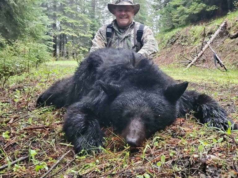 Idaho Black Bear Hunting with Hounds