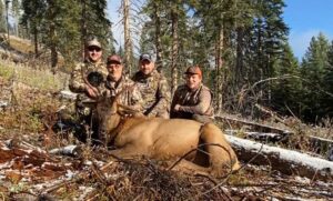Idaho Bull Elk Hunts