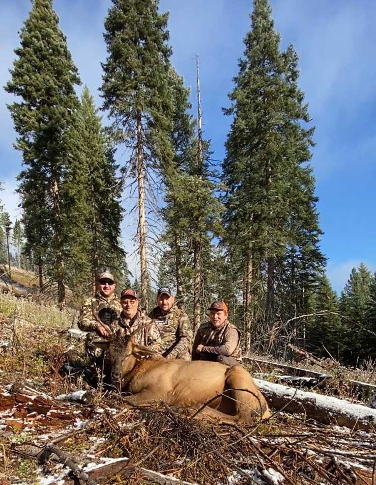 Idaho Bull Elk Hunts