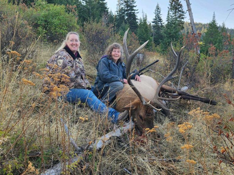 Idaho Elk Outfitter Hunts