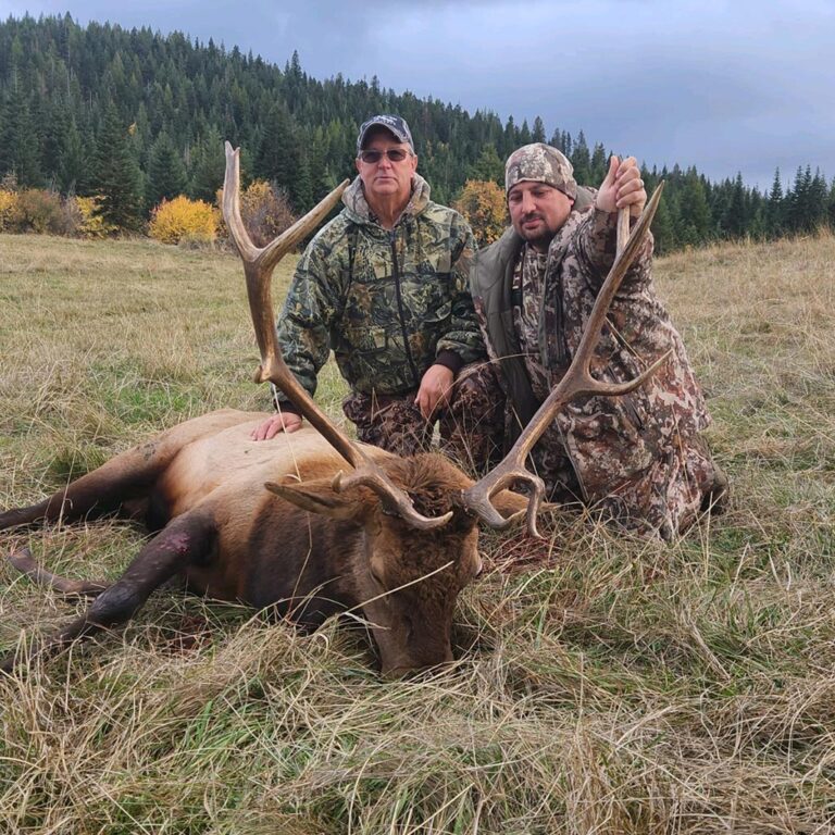 Trophy Bull Elk on Private Ranch in Central Idaho