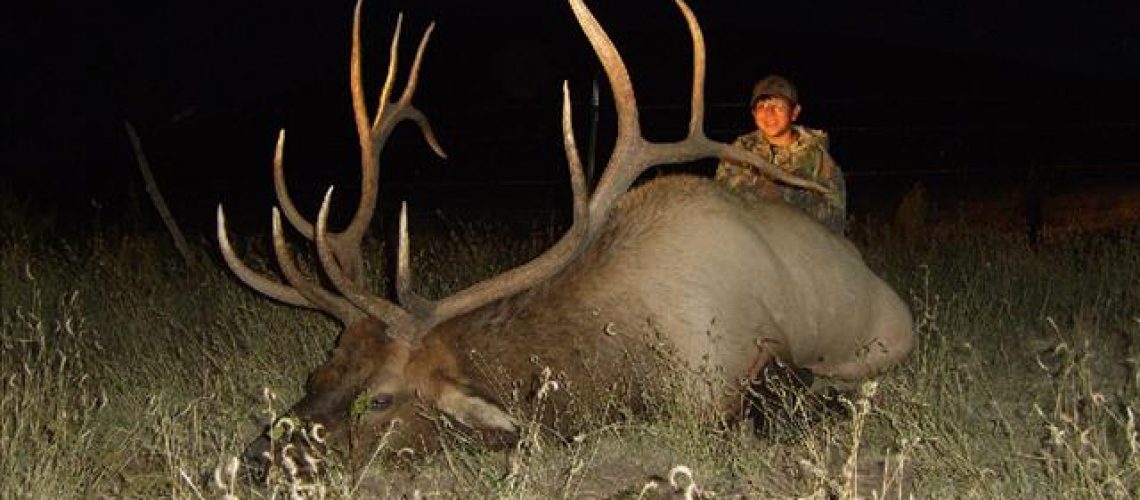 Hunt Idaho Bull Elk with Miles High Outfitters