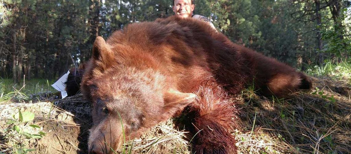 Affordable Black Bear Hunts